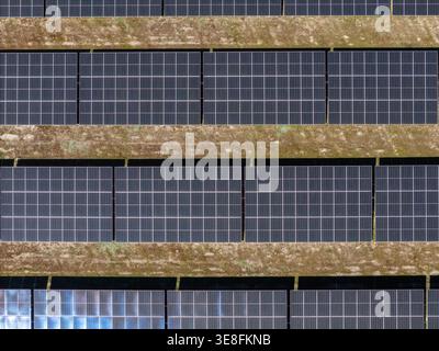 Luftaufnahme von Reihen von Solarpaneelen auf einer großen Photovoltaik-Farm mit Grasboden in Palmela, Setubal, Portugal. Stockfoto