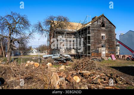 Großer Blick auf das alte Holzhaus, das gerade renoviert wird, mit Gerüsten, neuem Dach und geschnittenen Bäumen im Hof, Europa, Lettland Stockfoto