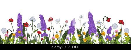 Frühling wilde Blumen Grenze, natürliche Vektor-Illustration isoliert auf weißem Hintergrund. Wildblumenrahmen mit rotem Mohn, Gänseblümchen und lila Bündeln, Sommerwiesen-Muster für romantisches botanisches Design Stock Vektor