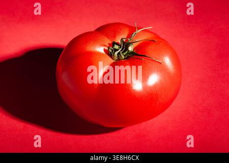 Rosafarbene Tomate auf rotem Hintergrund Stockfoto