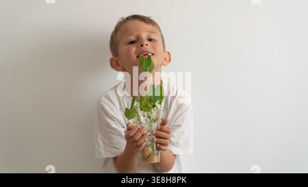 Kind hält Pflanze in Händen auf weißem Hintergrund Stockfoto