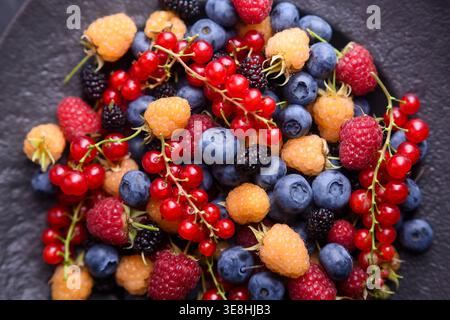 Blick von oben auf das Sortiment lebendiger Beeren in der Schüssel. Heidelbeeren, rote und weiße Johannisbeeren, gelbe Himbeeren, Stachelbeeren, natürliches Erntethema Stockfoto