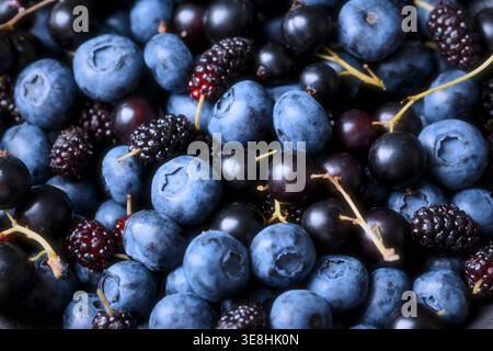 Detailgenauigkeit von Heidelbeeren mit Maulbeeren, geringe Tiefe, natürliches Licht. Gesunder Bio-Beeren Hintergrund Stockfoto
