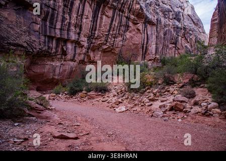 Der Grand Wash Slot Canyon im Capitol Reef National Park. Stockfoto