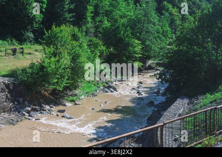 Schlammiger Fluss fließt durch eine üppig grüne Waldlandschaft mit dichter Vegetation entlang der Ufer. Ein Metallgeländer im Vordergrund deutet auf eine Sichtfläche hin Stockfoto