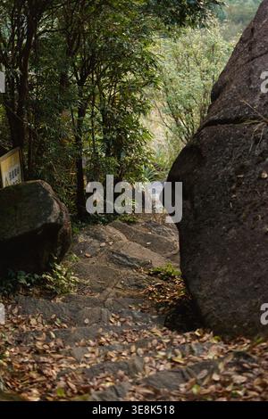 Steinwanderwege, bedeckt mit gefallenen Blättern in einem bewaldeten Berg Stockfoto