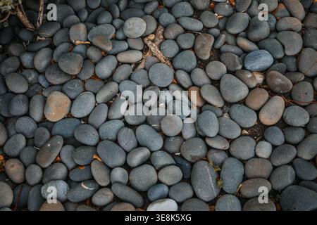 Nahaufnahme des glatten River Stones Hintergrunds – Natural Pebble Texture Pattern für Zen und Minimal Design Stockfoto