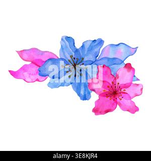Wunderschöne handgezeichnete Aquarellillustration mit leuchtenden blauen und rosa Kirschblüten mit zarten Blütenblättern. Diese florale Komposition ist ideal Stockfoto