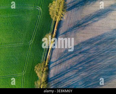 Sieversdorf, Deutschland. April 2026. Die Morgensonne wirft lange Schatten auf ein Feld (Luftaufnahme mit einer Drohne). Die zweite Hälfte der Woche bringt freundliches und mildes Wetter. Nach Angaben des Deutschen Wetterdienstes (DWD) steigen die Temperaturen bis zum Wochenende auf 21 Grad an. Es wird kaum Duschen geben, stattdessen Sonnenschein. Quelle: Patrick Pleul/dpa/Alamy Live News Stockfoto