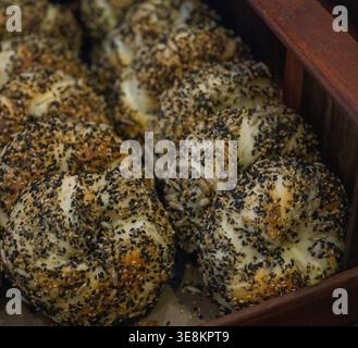 Mohnsamen Bagel isolierte Detailfrucht von Sesam Seed vs Black Mohnsamen Bagels A. dieses Bild zeigt Mohnsamen-Bagel, schwarze Samen und alles, was Beutel sind Stockfoto