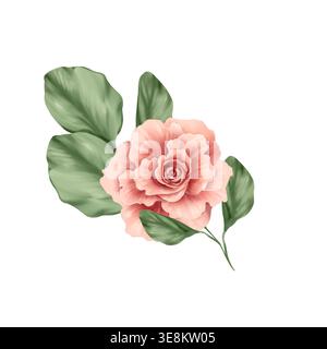 Botanische Illustration einer weichen rosa Rosenblume mit grünen Blättern. Elegantes, isoliertes Blumenelement. Handgezeichnete Ästhetik. Stockfoto