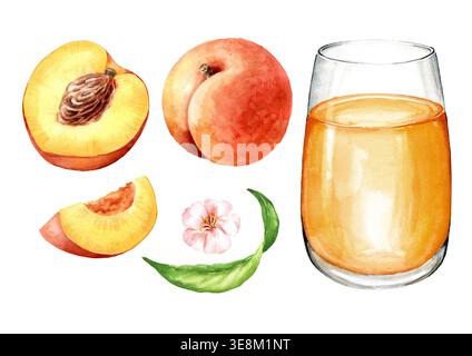 Ein Glas Pfirsichsaft und frische Reifen Pfirsiche. Handgezeichnete Aquarellillustration isoliert auf weißem Hintergrund Stockfoto