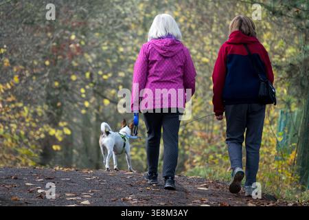 Rückansicht von zwei älteren Frauen, die einen Hund auf einem Pfad in einem Herbstwald laufen Stockfoto