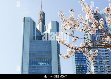 März 2026 Frankfurt am Main, Hessen, Deutschland. Ein großes Skyline-Panorama von Frankfurt am Main im Frühjahr mit Blick auf den Commerzbank Tower. Sakur Stockfoto