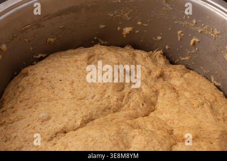 Winkelansicht hausgemachter Mehrkornteig mit aufsteigender Kleie in einem Edelstahlbehälter Stockfoto