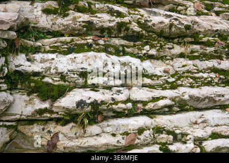 Steinmauer mit Moos und Flechten. Naturstein Hintergrund Textur. Stockfoto