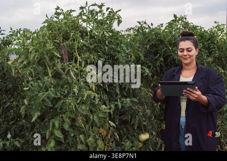Landwirtschaftsfachärztin zur Qualitätskontrolle von Tomatenpflanzen mit Tablette Stockfoto