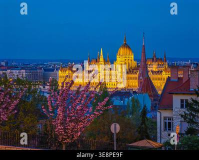 Beleuchtetes ungarisches Parlamentsgebäude bei Nacht, Parlament von Budapest. Blick von der Drohne auf Budapester Architektur, atemberaubendes historisches Gebäude Stockfoto