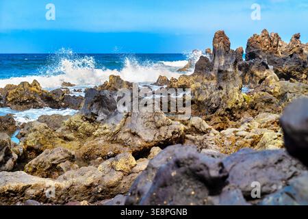 Atlantische Wellen stürzen unter klarem blauen Himmel gegen die zerklüftete Lavaküste auf Lanzarote. Mächtiges Surfen im Meer an schwarzen vulkanischen Felsen Stockfoto