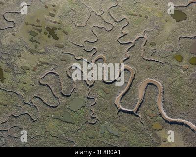 Luftaufnahme von Gezeitenkanälen und Salzmooren in Burnham Overy Staithe, Norfolk, England, Großbritannien. Natürliche Küstenstrukturen und gewundene Wasserstraßen Stockfoto