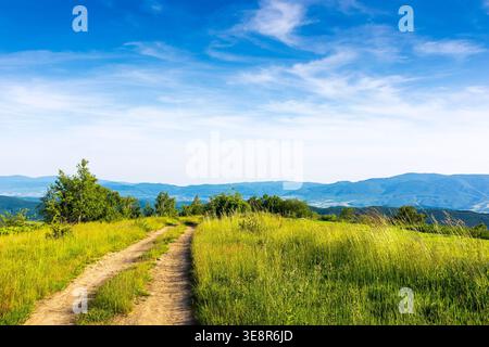 Unbefestigte Straße, die sich durch grasbewachsenes Feld in den karpaten schlängelt. Schöne ländliche Landschaft der ukraine im Sommer. Malerischer Blick auf eine grüne Landschaft sce Stockfoto