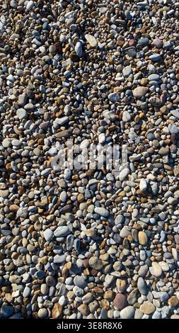 Der Boden ist mit einer Vielzahl von Kieselsteinen in verschiedenen Farben und Größen bedeckt, die in einem natürlichen Muster angeordnet sind. Die Szene zeigt einen Strandbereich mit Kieselsteinen Stockfoto