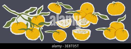 Hand gezeichnete Yuzu Zitrusaufkleber Sammlung mit Fruchtscheiben und Blattzweigen in asiatischer Stil Vektor-Illustration mit weißer Umrandung auf dunklem Stock Vektor