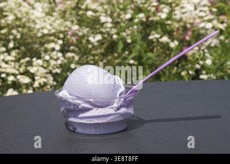 Eine Tasse Lavendeleis auf einem Tisch in einem Blumenfeld Stockfoto