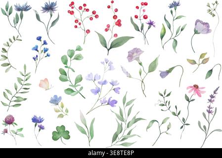 Aquarell Wildblumenelemente Set, handgezeichnete botanische Sammlung von Wiesenkräutern, Blumen und Beeren. Vektorillustration isoliert auf weiß. Stock Vektor