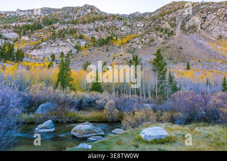 Eine malerische Landschaft mit einem lebendigen, goldenen Aspenhain am Fuße der zerklüfteten Granitberge während der Herbstsaison im Bishop Creek Canyon. Stockfoto