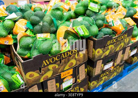 Avocados, Die Im Costco Wholesale Grocery Store Ausgestellt Werden, Produzieren Regal In Bulk Fresh Fruit Section Stockfoto