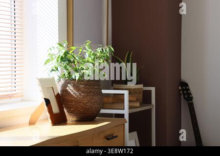Bücherregal und Pflanzen mit Korbkörben im Zimmer Stockfoto