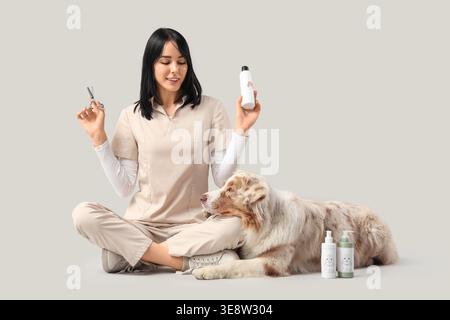 Weiblicher Groomer mit Haustierzubehör und australischem Schäferhund auf hellem Hintergrund Stockfoto