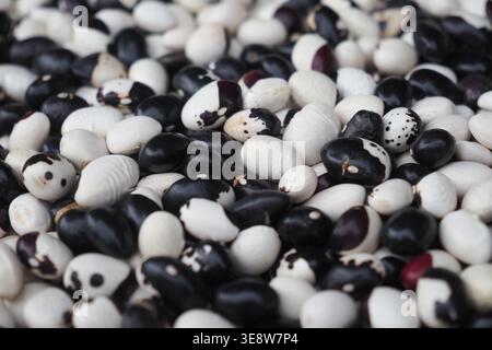 Verschiedene Bohnensorten werden auf einem Markt zum Verkauf angeboten Stockfoto