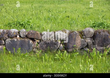 Eine niedrige rustikale Steinmauer, die mit Moos bedeckt ist, befindet sich inmitten einer lebendigen grünen Wiese und wildem Gras und schafft eine friedliche, ländliche Szene voller natürlicher Textur, Watte Stockfoto