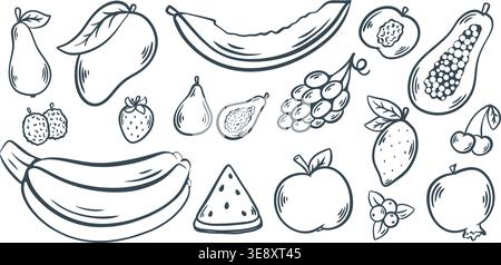 Handgezeichneter Tintensatz mit Früchten. Reife saftige Zitrone, Birne, Apfel, Bananen, Litschi, Trauben, Granatapfel, Heidelbeere, Mango. Kontur Silhouette. Stock Vektor