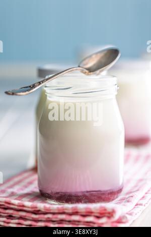 Cremiger hausgemachter Joghurt, serviert in kleinen Gläsern mit Obstschichten und einem Vintage-Löffel, auf einem hellen Holztisch für ein gemütliches, gesundes Frühstück Stockfoto