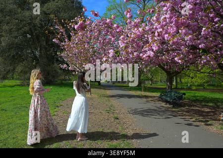 Greenwich London, Großbritannien. April 2026. Besucher des Greenwich Park im Süden Londons können die Rückkehr des warmen Wetters optimal nutzen und die kürzlich erblühte Kirschblüte genießen. Quelle: MARTIN DALTON/Alamy Live News Stockfoto