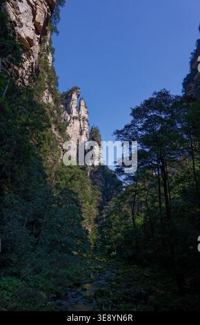 Hoch aufragende Sandsteinsäulen, die sich über bewaldeten Schluchten mit einem Bach darunter im Zhangjiajie National Forest Park erheben Stockfoto