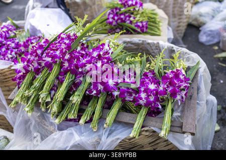 Leuchtendes lila Orchideenbündel in gewebtem Korb am Marktstand im Freien, das frische Blüte mit fröhlichem, lebhaftem Gefühl für den lokalen Handel bietet Stockfoto