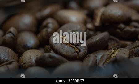 Dunkles Bild von hochwertigen Kaffeebohnen Stockfoto