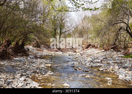 Ein Bach mit klarem Wasser fließt durch ein felsiges Gebiet in einem Wald, mit kargen Bäumen und Ästen entlang der Ufer in einer natürlichen Umgebung Stockfoto
