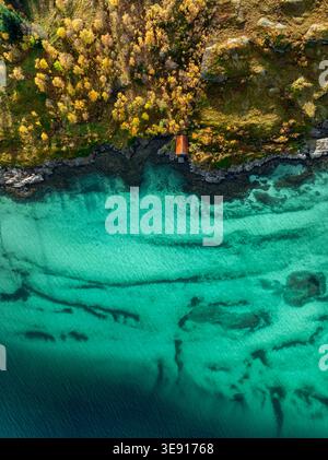Blick aus der Vogelperspektive auf Hamn i Senja mit einer kleinen roten Hütte an der felsigen Küste, klarem türkisfarbenem Wasser und herbstlichen gelben Bäumen Skaland, Troms, Norwegen. Stockfoto