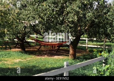 Eine einladende orangene Hängematte hängt zwischen üppigen Apfelbäumen in einem ruhigen Obstgarten und bietet einen perfekten Ort zum Entspannen. Im Hintergrund wird A angezeigt Stockfoto