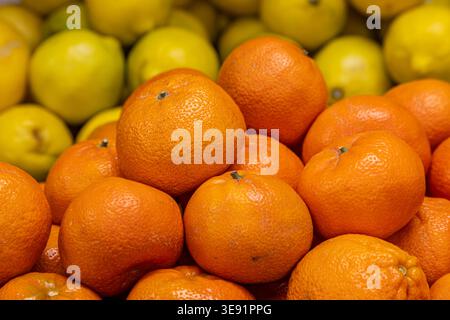 Ein Vollformatfoto von Orangen und Zitronen zum Verkauf, mit selektivem Fokus Stockfoto