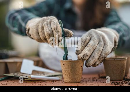 Gärtner Hände in Schutzhandschuhen mit einem kleinen Werkzeug, um organische Setzlinge in umweltfreundliche, biologisch abbaubare Töpfe zu Pflanzen, um sich auf das Frühlingswachstum vorzubereiten Stockfoto
