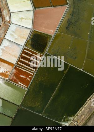 Aus der Vogelperspektive der farbenfrohen geometrischen Salzpfannen und Verdunstungsteiche in Marsala, Sizilien, Italien. Stockfoto