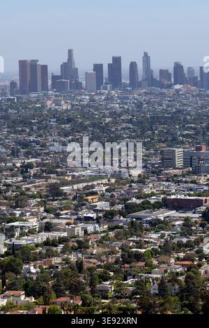 Blick auf die Skyline von Downtown Los Angeles vom Griffith Park, Kalifornien, USA Stockfoto