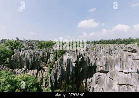 Steinwald in Kunming Yunnan Stockfoto