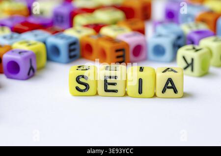 SEIA-Text über mehrfarbigen Würfel, der die Sozial- und Umweltverträglichkeitsprüfung darstellt. Erhaltungskonzept Stockfoto